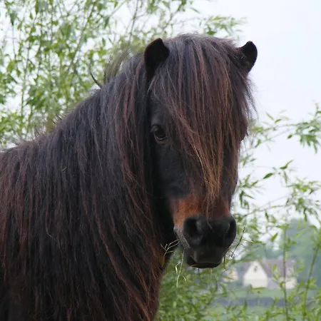 Appart hôtel Les Golf - Self-catering Belleme