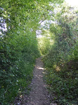 Les Golf - Self-catering Appart hôtel