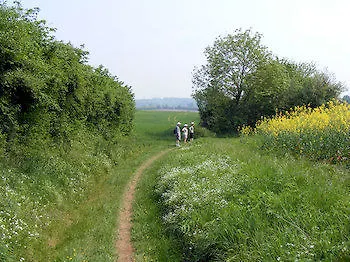 Les Golf - Self-catering 3* Belleme