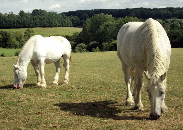 Les Golf - Self-catering Belleme