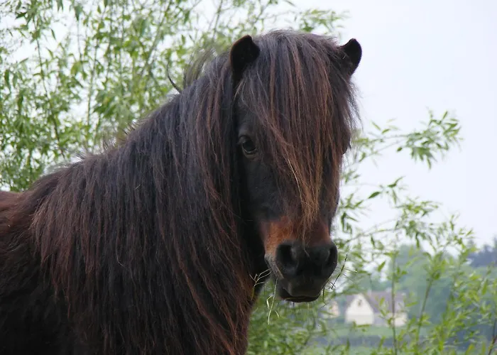 Appart hôtel Les Golf - Self-catering Belleme